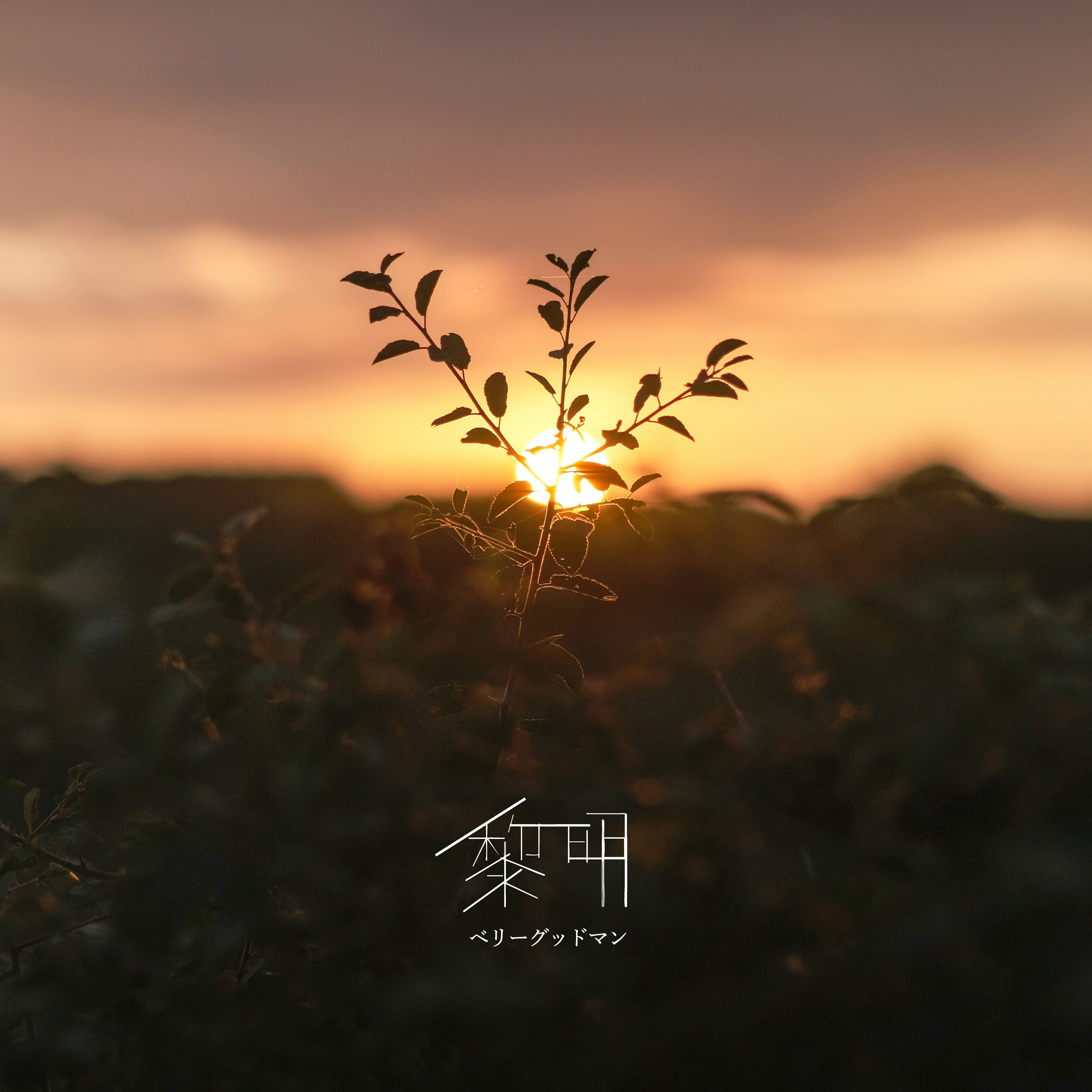 黎明 | BERRY GOODMAN OFFICIAL WEBSITE